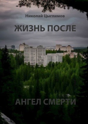 Цыглимов Н. - Жизнь после. Ангел Смерти