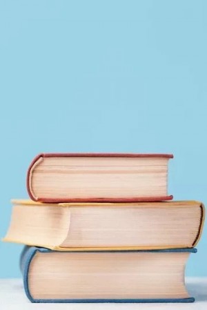 Баюшев Дмитрий - Параллельные Кулебяки