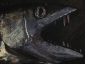 Коркош Владимир - Кусающие рыбы