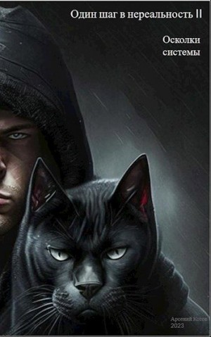Котов Арсений - Осколки системы