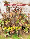 Чащин Валерий - Мастер 6