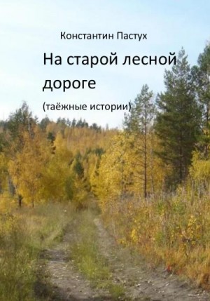 Пастух Константин - На старой лесной дороге