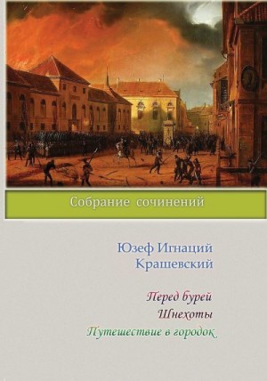 Крашевский Юзеф - Перед бурей. Шнехоты. Путешествие в городок (сборник)