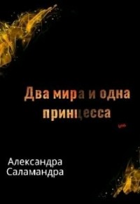 Два мира и одна принцесса