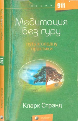 Стрэнд Кларк - Медитация без гуру: Путь к сердцу практики