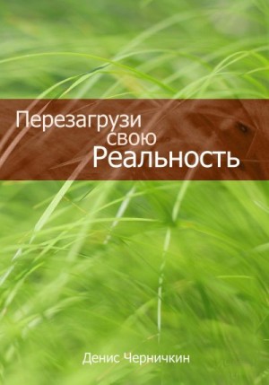 Черничкин Денис - Перезагрузи свою реальность