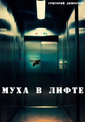 Домрачев Григорий - Муха в лифте