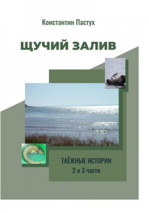 Пастух Константин - Щучий залив. 2 и 3 части