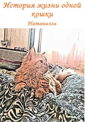 Натаниэль - История жизни одной кошки