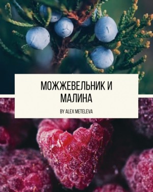 AlexMeteleva - Можжевельник и малина