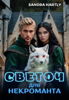Hartly Sandra, Хартли Сандра - Светоч для Некроманта