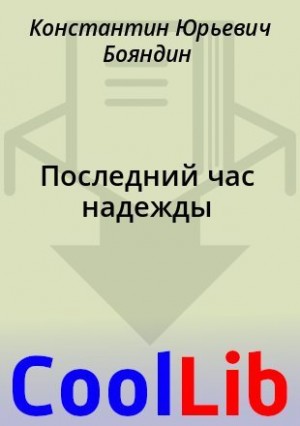 Бояндин Константин - Последний час надежды