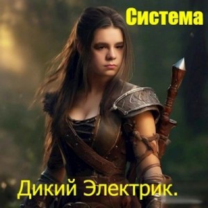 Электрик Дикий - Система