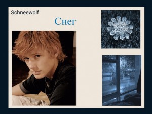 Schneewolf - Снег