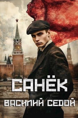 Седой Василий - Санёк