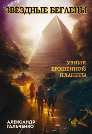 Гальченко Александр - Узник брошенной планеты