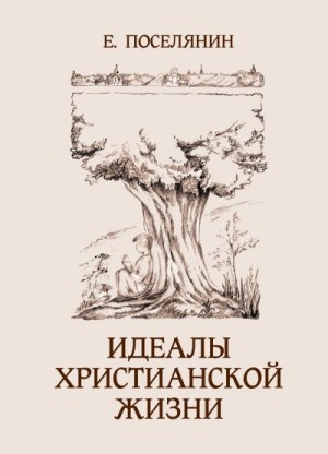 Поселянин Евгений - Идеалы христианской жизни