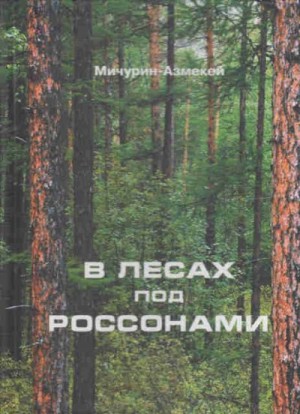 Мичурин-Азмекей - В лесах под Россонами