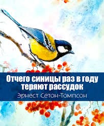 Сетон-Томпсон Эрнест - Отчего синицы раз в году теряют рассудок