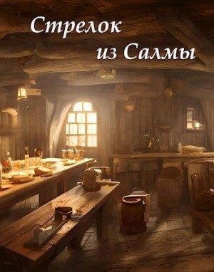 Рейн Евгений - Стрелок из Салмы