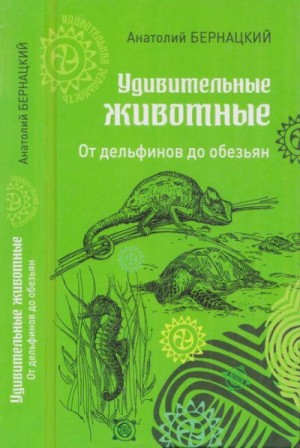 Бернацкий Анатолий - Удивительные животные. От дельфинов до обезьян