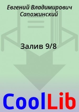 cкачать книгу Евгений Сапожинский Залив 9/8