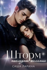 Шторм. Последнее желание