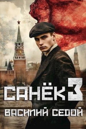 Седой Василий - Санек 3