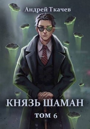 Ткачев Андрей - Князь шаман. Том 6