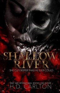 Мелкая река