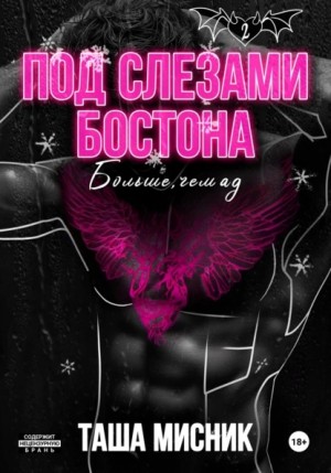 Мисник Таша - Под слезами Бостона. Больше, чем ад