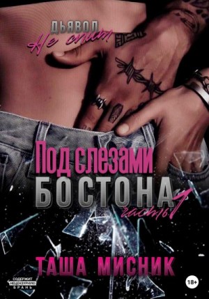 Мисник Таша - Под слезами Бостона. Дьявол не спит