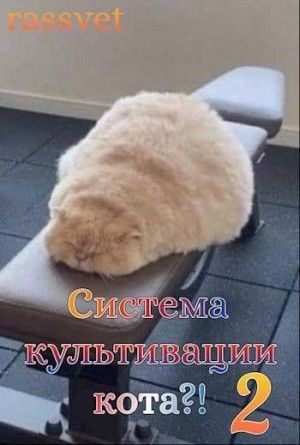 rassvet - Система культивации кота 2