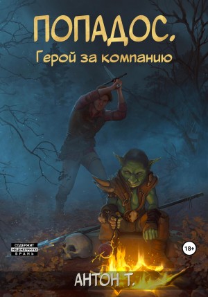 Топчий Антон - Попадос. Герой за компанию. Том первый