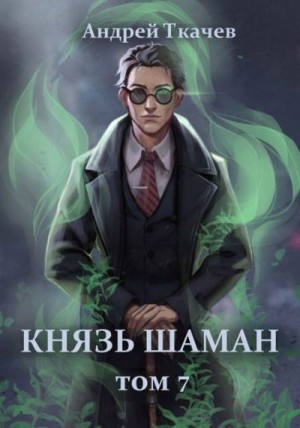 Ткачев Андрей - Князь шаман. Том 7