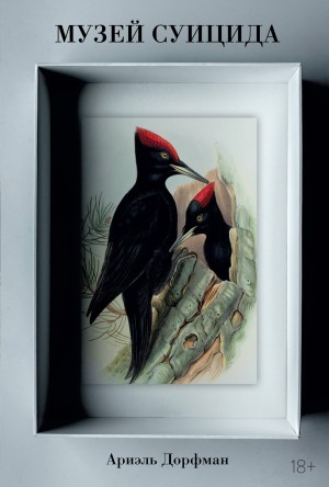 Дорфман Ариэль - Музей суицида