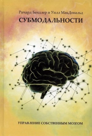 Бендлер Ричард - Субмодальности