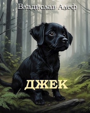 Алеф Владислав - Джек