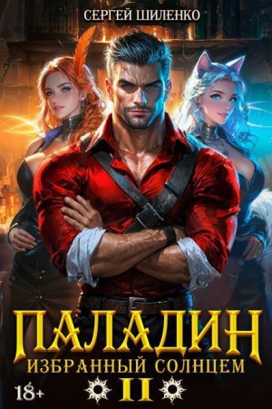 Шиленко Сергей - Паладин Том 2