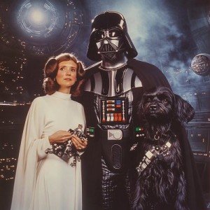 Федина Юлия - Собачий вальс