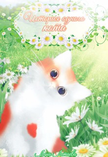 Летаева Лана - История одного кота