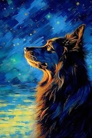 Бродяга Севера