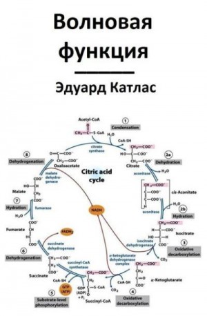 Катлас Эдуард - Волновая функция