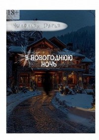 В Новогоднюю ночь