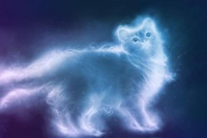 Мурашкина Анна - Кошки всякие нужны, кошки всякие важны