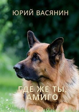 Васянин Юрий - Где же ты, Амиго?