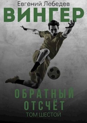 Лебедев Евгений - Вингер. Обратный отсчет