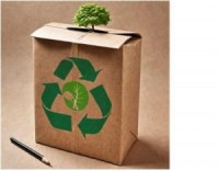 Бизнес по переработке бумаги: как начать, заработать и помочь экологии