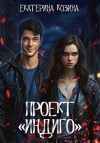 Козина Екатерина - Проект «Индиго»
