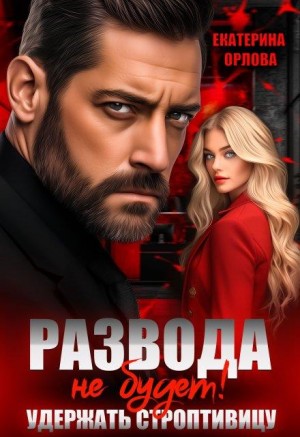 Орлова Екатерина - Развода не будет! Удержать строптивицу